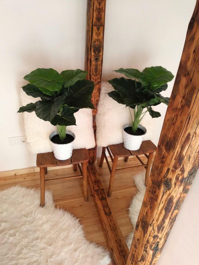 Apartment Cernesa Ražanac エクステリア 写真
